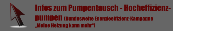 Infos zum hydraulischen Abgleich (Bundesweite Energieeffizienz-Kampagne  Meine Heizung kann mehr) Infos zum Pumpentausch - Hocheffizienz- pumpen (Bundesweite Energieeffizienz-Kampagne  Meine Heizung kann mehr)